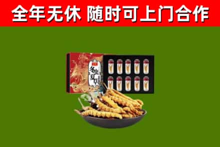 尧都回收冬虫夏草价格